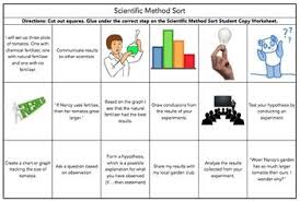 Scientific Method Notes And Sort Scientific Method Sorting Graphic Organizers