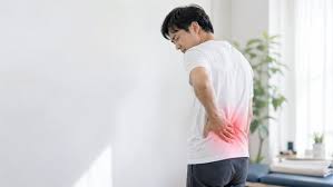 腹筋群が腰痛に関係する理由｜腹直筋・腹横筋・腹斜筋の起始・停止・作用を解説 | Body Conditioning 京橋院（大阪市都島区片町） | エキテン byGMO