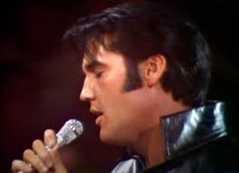 Vocally Wild Newsletter