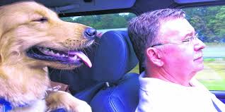 Somerset resident is 'Driving Mr. Sidney'