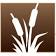 Chesapeake Automotive Equipment logo