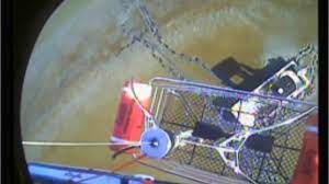 6 Cruise Ship Rescues Emergencies On Royal Caribbean Carnival More