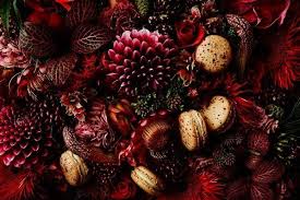Macaron Au Pin Des Montagnes Et Pin Sylvestre Pierre Herme Le Jardin Des Delices Installation De Fleurs Et Jardins