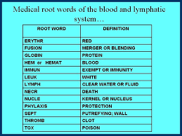 Medical Terminology Part 1 Blood Lymphatic System Constructed