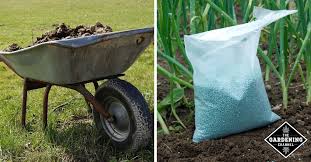 Free shipping on qualified orders. Fertilizer Vs Manure Which To Use Gardening Channel