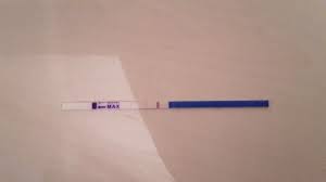 Freedom Pregnancy Test Strip False Positive Pregnancy Test