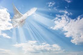 You can prepare a nice gift basket full of the things he loves, such as a video game, chocolates, cookies, music cd, etc. The Gifts Of The Holy Spirit Thecatholicspirit Com Thecatholicspirit Com
