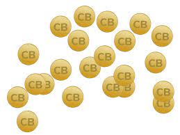 Read on for some hilarious trivia questions that will make your brain and your funny bone work overtime. Coinbubbler Trivia
