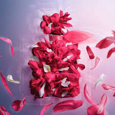 Introducing a new fragrance chapter of happiness to the it's here and now, beating inside the new la vie est belle intensément eau de parfum. La Vie Est Belle Intensement Sabina Store