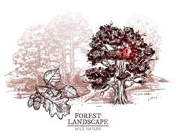 Check spelling or type a new query. Sketch Tree Landscape Illustration 483609 Vector Art At Vecteezy