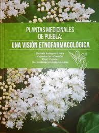 Desde la publicación de sensibilidad y también inteligencia en el planeta vegetal, stefano mancuso se ha transformado en un referente inevitable en el conocimiento de la alucinante realidad de las plantas. Plantas Medicinales De Puebla Una Vision Etnofarmacologica Profetica