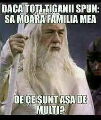 Pin By Business On Poze Si Texte Amuzante Mommy Humor Motherhood Memes Mom Memes