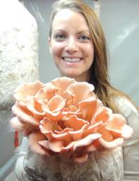 FreshCap Mushroom announces investment from The Giorgi Cos.