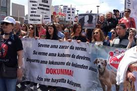Hayvan Haklari Arastirma Komisyonu Raporunu 4 Ekim De Meclis E Sunacak Evrensel