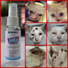 Ubat kurap di farmasi, ubat kurap cap kaki tiga, ubat kurap paling mujarab, ubat kurap kucing, ubat kurap tradisional, ubat kurap manusia, u. Shopee Malaysia Free Shipping Across Malaysia