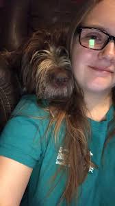 ISO recommendations for in-home pet euthanasia to help with transition