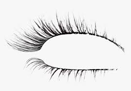 These are made up of mostly open eyes, and most were taken straight. Eyelash Extensions Brush Drawing Eyelashes Transparent Background Hd Png Download Kindpng