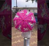 Premium Quality Theme Printed Umbrella For Kids (Robot Purple)