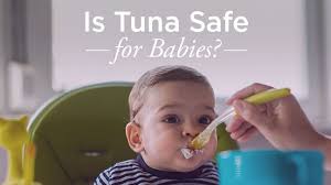 Can Babies Eat Tuna Risks And Benefits