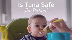 can babies eat tuna risks and benefits