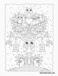 Paisley Coloring Pages Advanced Coloring Pages Of Animals Paisley Coloring Pages Best Birijus Com Owl Coloring Pages Abstract Coloring Pages Animal Coloring Pages
