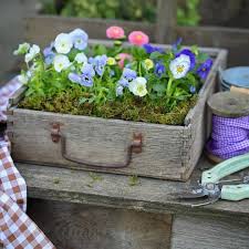 Stilllife Countrystilllife Flowers Credit Myblueberryjam Fruhlingsgarten Garten Deko Pflanzideen