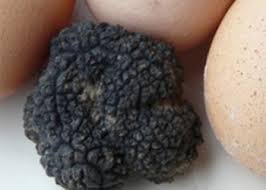 More images for comment faire une omelette aux truffes » Omelette Aux Truffes Recette Omelette Aux Truffes