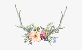 See more ideas about flower crown, wreath watercolor, floral. Antler Clipart Flower Crown Aesthetic Tumblr Flower Drawing Free Transparent Png Download Pngkey