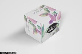 Download Square Tissue Box Mockup