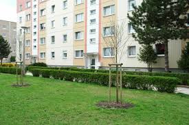 11 wohnungen in calau ab 287 €. 3 Zimmer Wohnungen Oder 3 Raum Wohnung In Calau Mieten