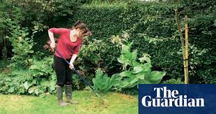 Below are some autumn lawn care tips to keep your lawn looking healthy and get it ready for the next spring. Gardens Eco Friendly Lawns Gardens The Guardian