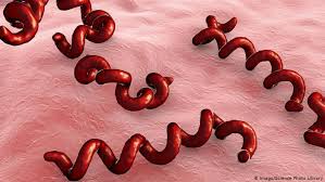 When it comes to donating blood and staying hydrated, there is great importance. Blood Donation Everything You Ve Ever Needed To Know Science In Depth Reporting On Science And Technology Dw 14 06 2019