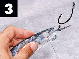 White Marlin Fishing White Marlin Marlin Fishing Marlin