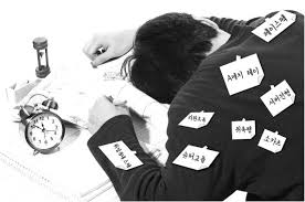 Blind vs 살피다 서비스 분석