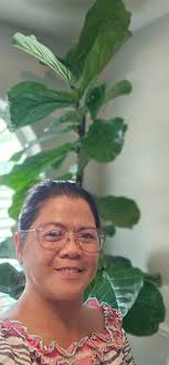 Where to cut a plant for propagation?