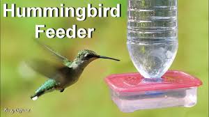 · avoid the commercial feed and make your own hummingbird food with these simple steps. Diy Hummingbird Feeder Homemade How To Make A Hummingbird Feeder From Plastic Bottle Youtube