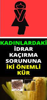 Kadinlardaki Idrar Kacirma Sorununa Care Bu Kurlerde Health Guru Health Care Services Health Guidelines