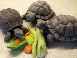 Beton Habe Im Baumarkt Eine Schildkrote Aus Styropor Gefunden Diese Habe Ich Abgeformt Und Heute In Beton Gegossen Basteln Mit Beton Styropor Deko