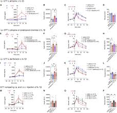 The cephalic phase of insulin release is modulated by IL-1β