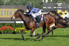 I always knew i was missing something. Atlantic Jewel Ridden By Michael Rodd Race Around The World Horse Racing Horses