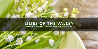 Still, sustenance isn't the only thing humans rely on plants for … 4. Lilies Of The Valley 10 Fun Facts Indoor Gardening