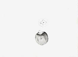 12 x 17 inches size. Persimmon By Yozo Hamaguchi Annex Galleries Fine Prints