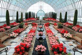 Holiday Flower Show Sunken Garden Como Conservatory St Paul Mn Sunken Garden Beautiful Gardens Flower Show