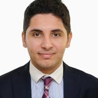 300+ "Elseidy" profiles