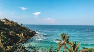 Maybe you would like to learn more about one of these? Thisisliving Guide To Puerto Escondido Mexico Suitcase Magazine