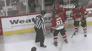 Get a constantly updating feed of breaking news, fun stories, pics, memes, and videos just for you. Any Funny Bruins Gifs Then Or Any Team I Like Welcome To The Best Hockey Blog On Tumblr