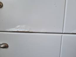 Image result for site:byggahus.se måla-köksluckor