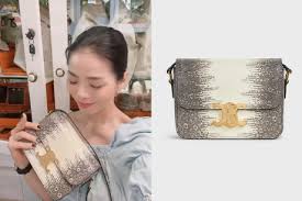 Lệ Quyên chi hàng trăm triệu đồng sắm túi thằn lằn limited - Ngôi sao