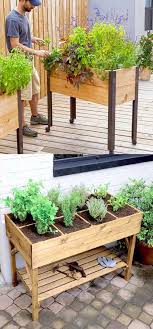 Detailed Guide On How To Build Raised Bed Gardens Lots Of Tips And Ideas On Best Designs S Garden Boxes Raised Vegetable Garden Raised Beds Diy Raised Garden