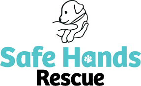 Donations are tax deductible and help us achieve it is animal welfare combined with compassion and a desire to ease the burden for terminally ill pet. Pets For Adoption At Safe Hands Animal Rescue In Minneapolis Mn Petfinder